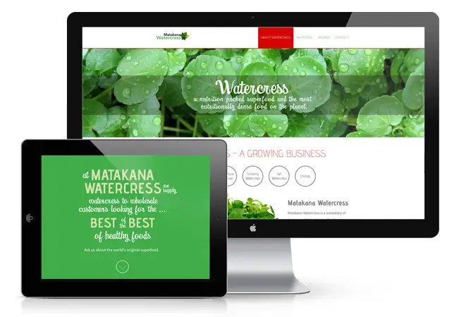 web design Auckland